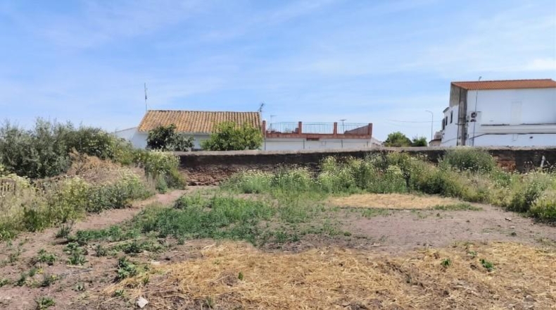 Sevilla - Villanueva del Río y Minas - 250m2
