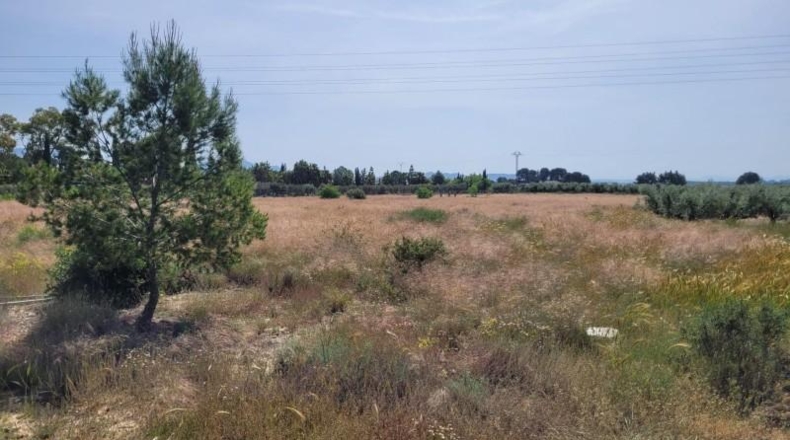 Murcia - Blanca - 7944m2