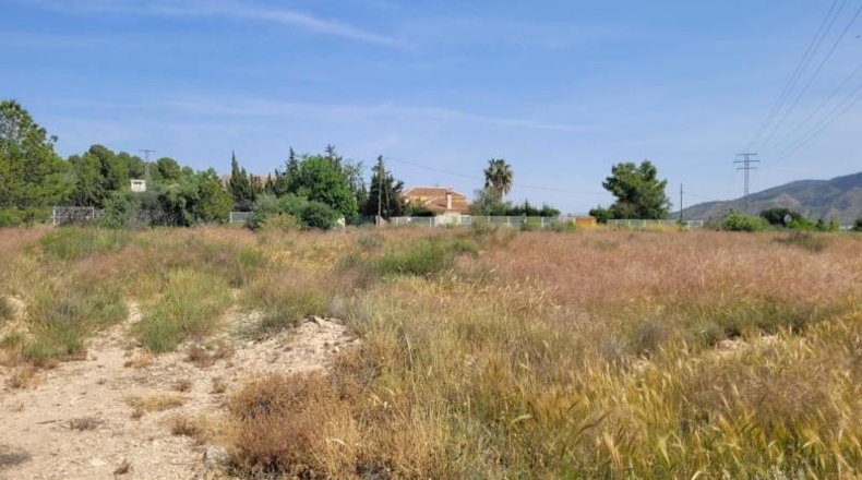 Murcia - Blanca - 7944m2