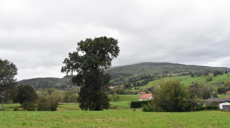 Cantabria - Santiurde de Toranzo - 4700m2