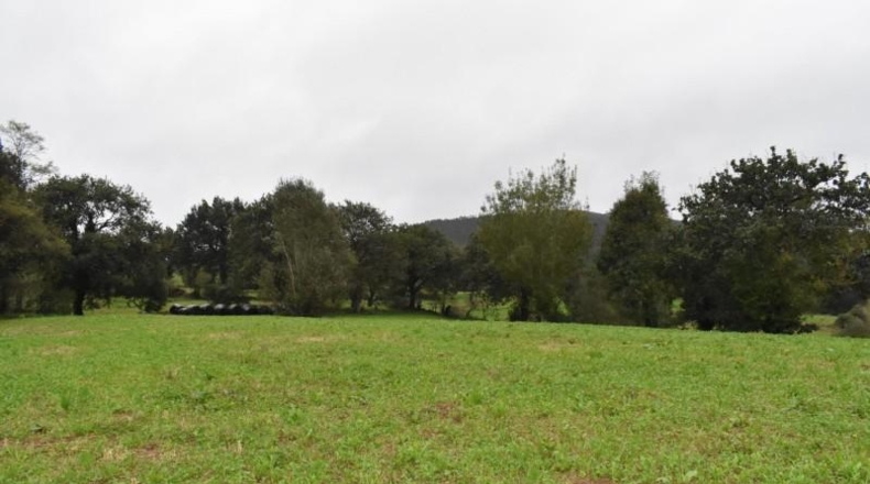 Cantabria - Santiurde de Toranzo - 4700m2