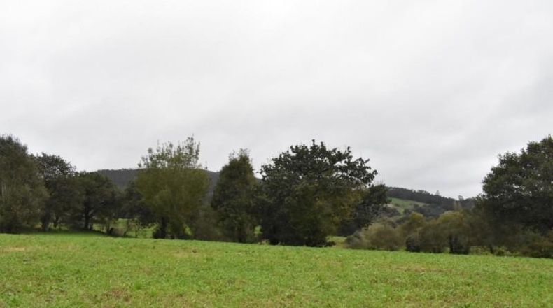Cantabria - Santiurde de Toranzo - 4700m2