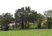 Casa con terreno en venta en la España, Santiurde de Toranzo, ref: TR302356 foto