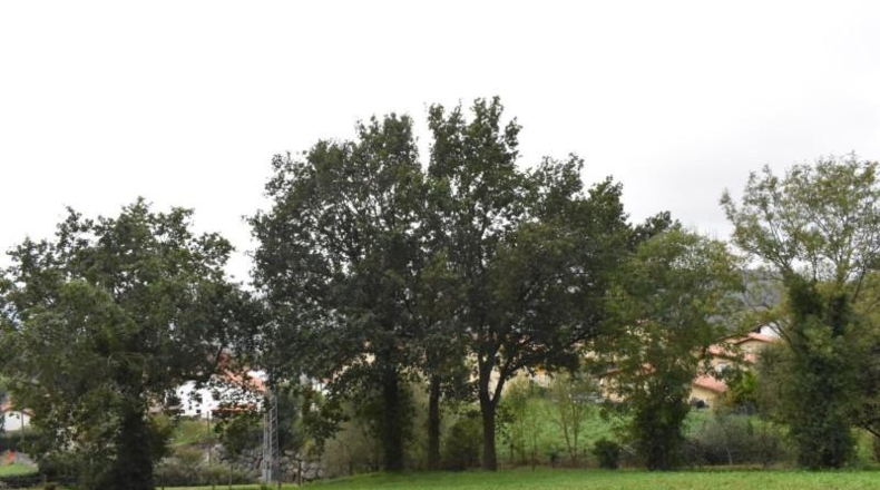 Cantabria - Santiurde de Toranzo - 4700m2