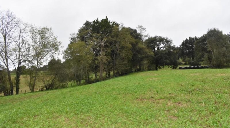 Cantabria - Santiurde de Toranzo - 4700m2