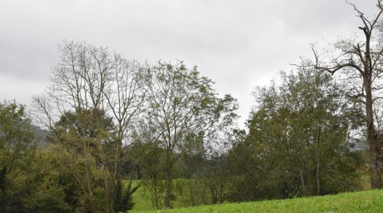 Cantabria - Santiurde de Toranzo - 4700m2