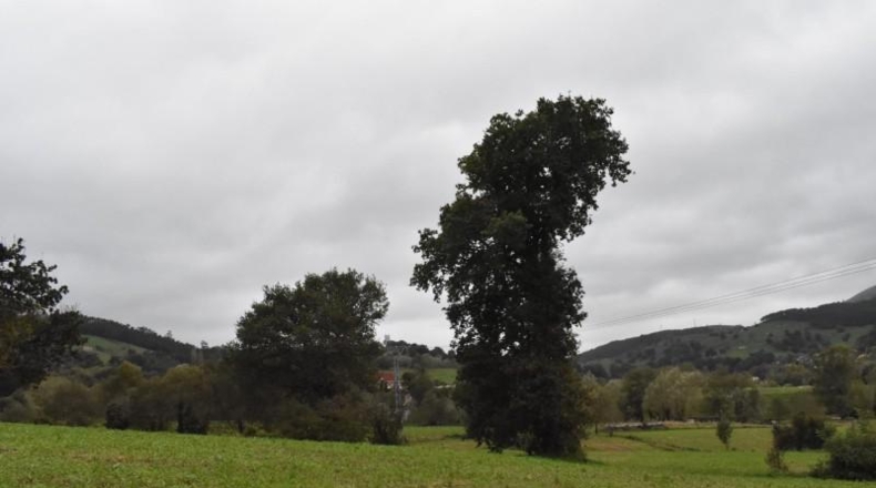 Cantabria - Santiurde de Toranzo - 4700m2