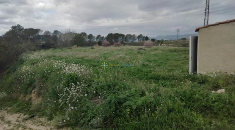 Valencia - Benigánim - 12807m2