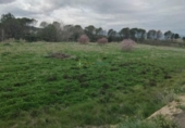 House with land for sale on España, Castelló de Rugat, ref: TR343038 photo