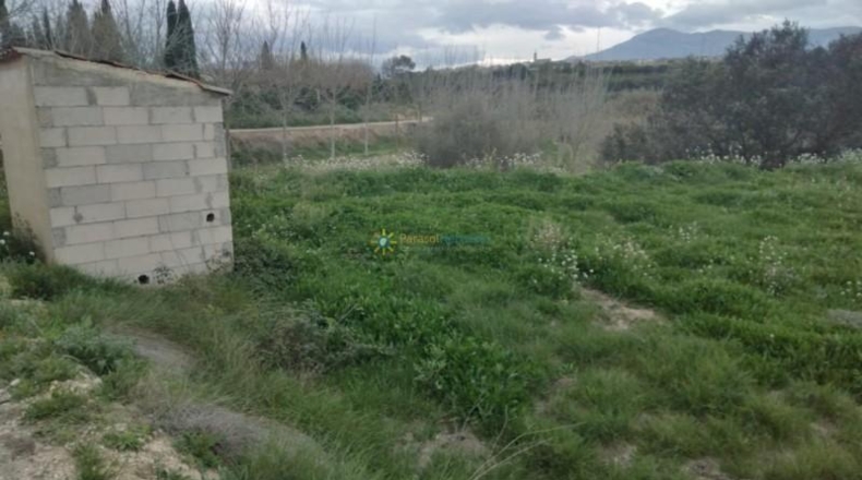Valencia - Benigánim - 12807m2