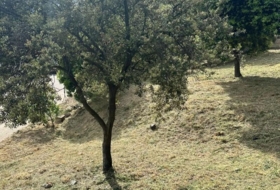 Bigues 924&nbsp;m²