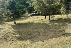 Bigues 924&nbsp;m²