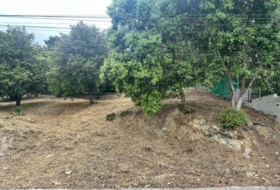 Bigues 924&nbsp;m²