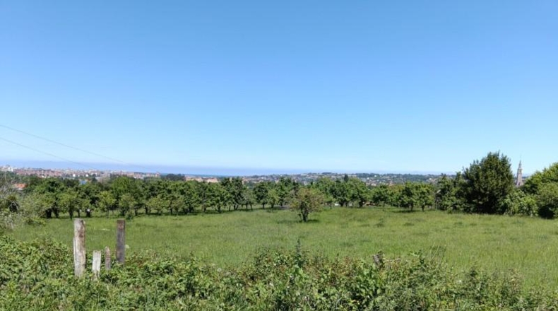 Asturias - Gijón - 1571m2