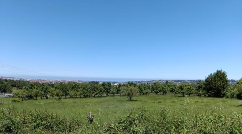 Asturias - Gijón - 1571m2