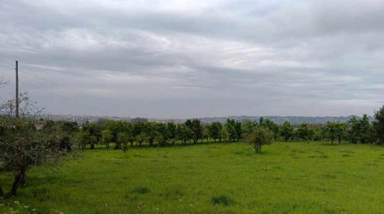 Asturias - Gijón - 1571m2