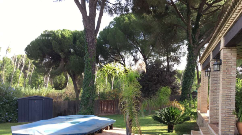Huelva - Hinojos - 1101m2