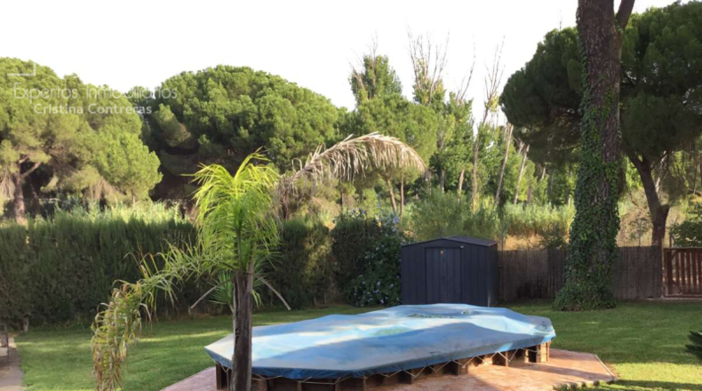 Huelva - Hinojos - 1101m2