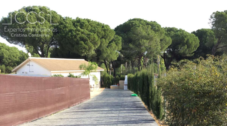Huelva - Hinojos - 1101m2
