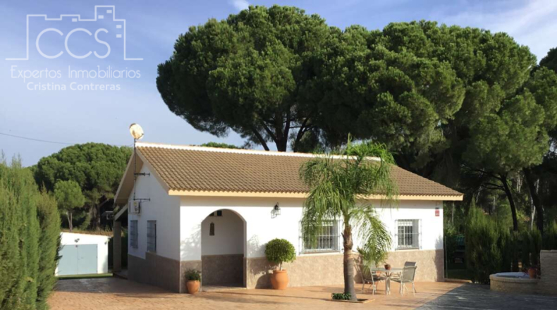 Huelva - Hinojos - 1101m2