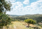 Chalet independiente con terreno en venta en la España, Casares, ref: TR334573 foto