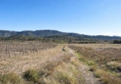 Non-developable land for sale on España, Castelló de Rugat, ref: TR342822 photo
