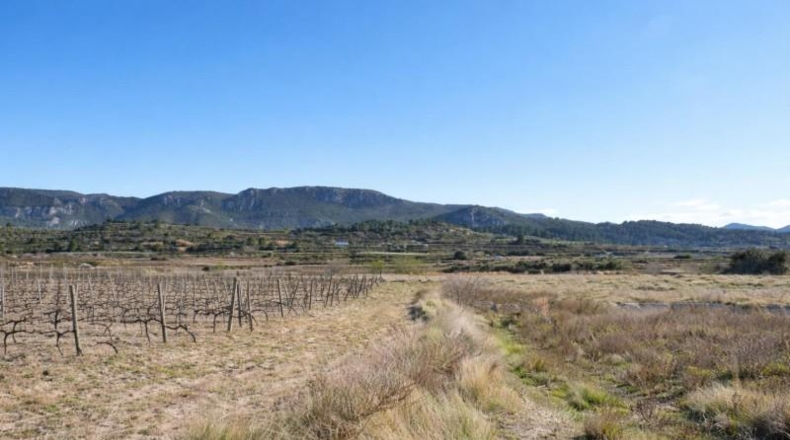 Valencia - Castellón de Rugat - 131737m2