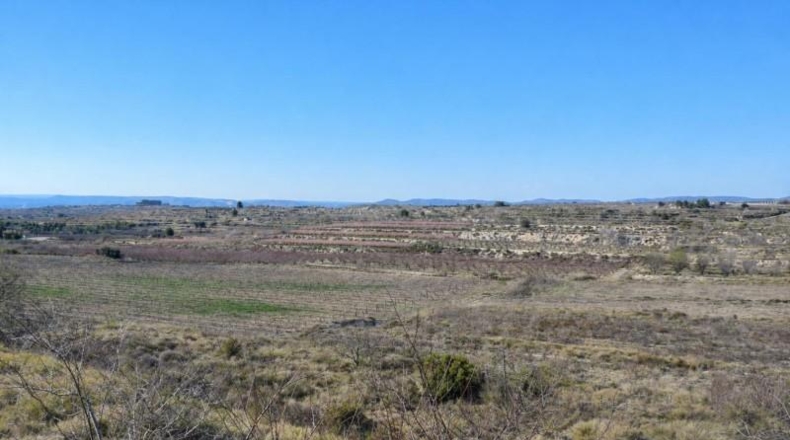 Valencia - Castellón de Rugat - 131737m2