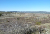 Non-developable land for sale on España, Castelló de Rugat, ref: TR342822 photo