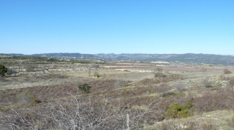 Valencia - Castellón de Rugat - 131737m2