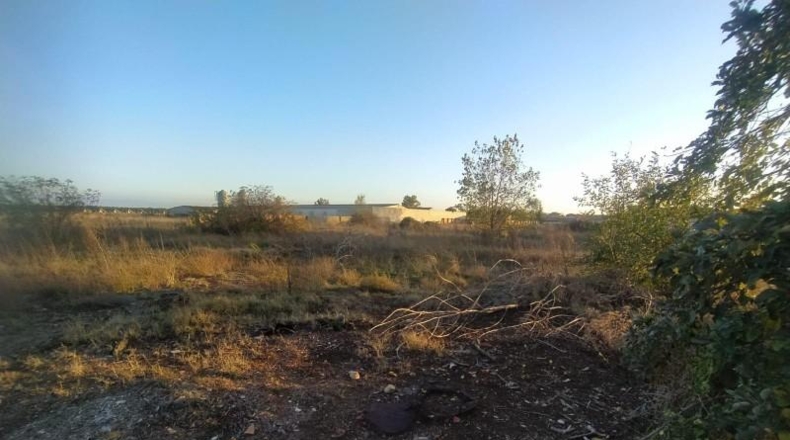 Segovia - Navalmanzano - 10379m2
