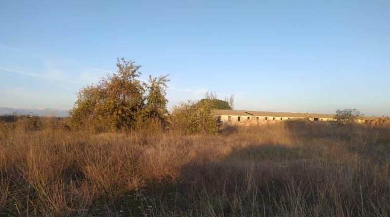 Segovia - Navalmanzano - 10379m2