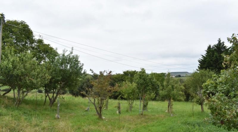 Cantàbria - Santillana del Mar - 3022m2