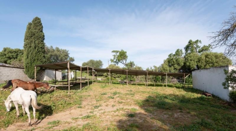 Cádiz - Barbate - 12000m2