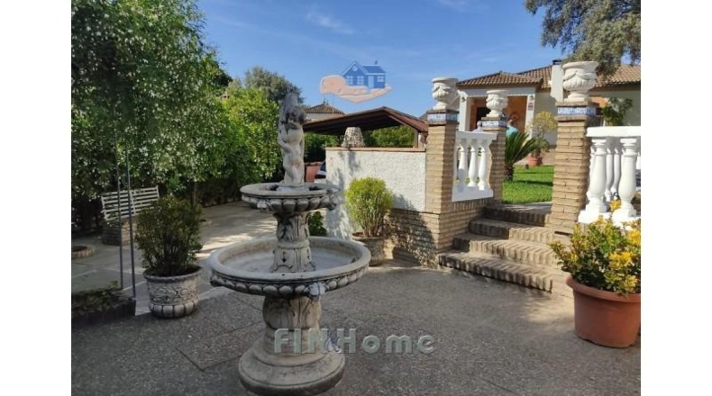 Sevilla - Gerena - 239m2