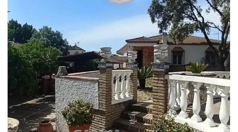 Sevilla - Gerena - 239m2
