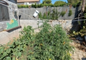 Chalet independiente con terreno en venta en la España, l'Ametlla de Mar, ref: TR265804 foto
