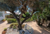 Chalet independiente con terreno en venta en la España, l'Ametlla de Mar, ref: TR265804 foto