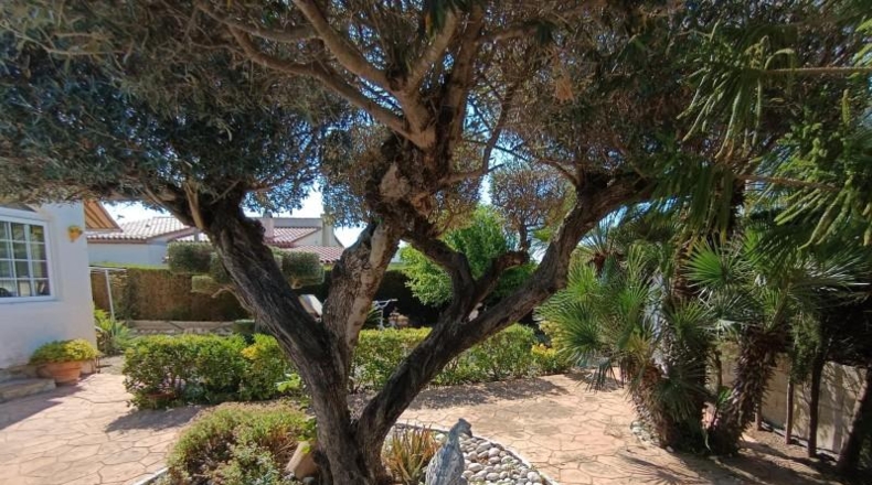 Tarragona - l'Ametlla de Mar - 800m2