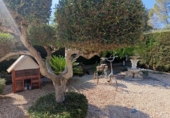 Chalet independiente con terreno en venta en la España, l'Ametlla de Mar, ref: TR265804 foto