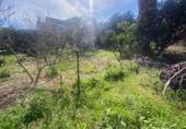 Xalet independent amb terreny en venda a la España, Alcolea, ref.: TR387250 foto