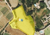 Отдельно стоящий дом с участком на продажу в городе Vejer de la Frontera Фото