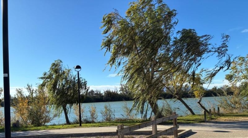 Tarragona - Deltebre - 1500m2