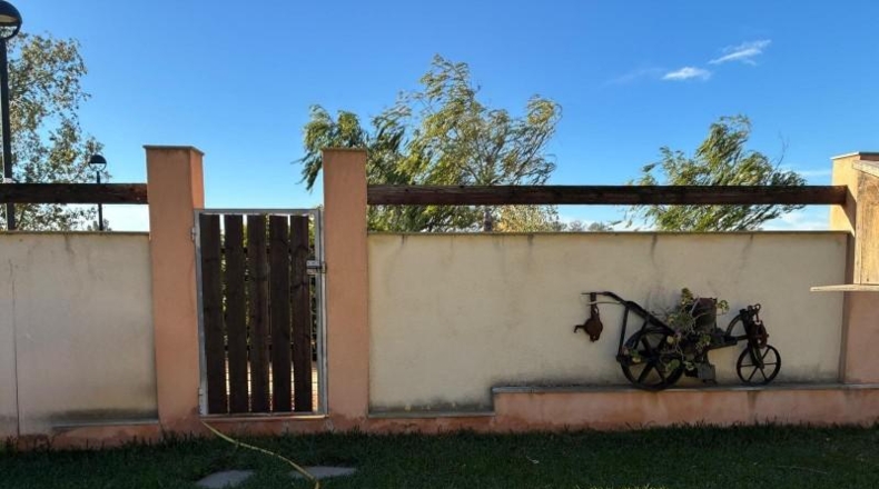 Tarragona - Deltebre - 1500m2