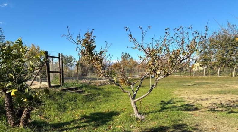 Tarragona - Deltebre - 1500m2