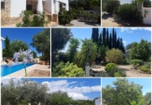 Xalet independent amb terreny en venda a la España, Sant Jordi, ref.: TR388254 foto
