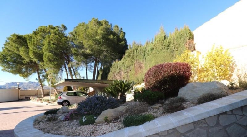 Alicante - Petrer - 3700m2