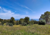 Land suitable for development for sale on España, Benalmádena, ref: TR361350 photo