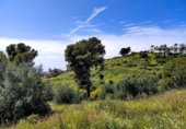 Land suitable for development for sale on España, Benalmádena, ref: TR361350 photo