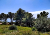 Land suitable for development for sale on España, Benalmádena, ref: TR361350 photo